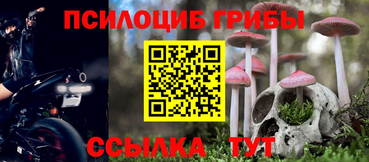 Кумертау  Галлюциногенные грибы MAGIC MUSHROOMS  Вход с VPN 