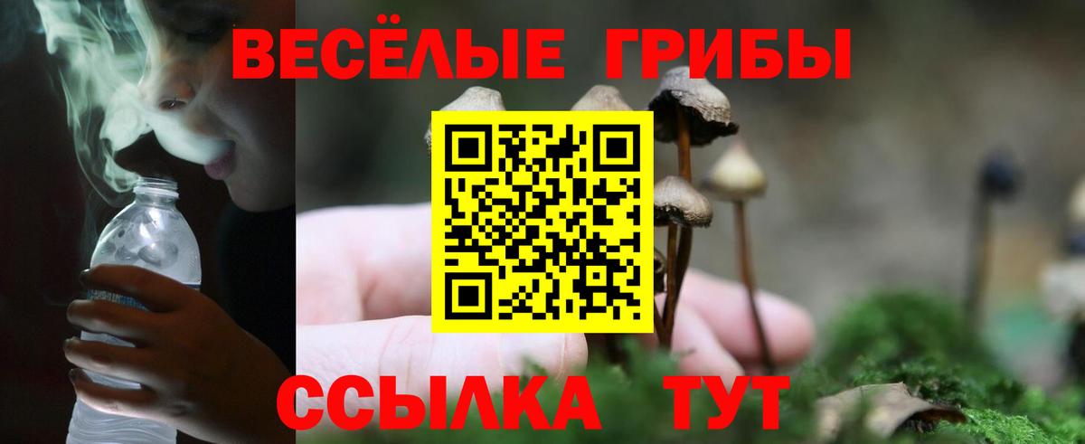 Галлюциногенные грибы мицелий Кумертау